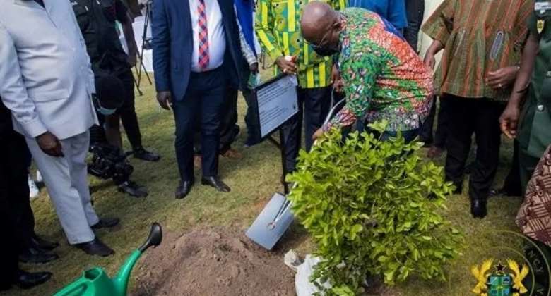 Green Ghana Day: Dont plant trees too close to roadside – NRSA to Ghanaians