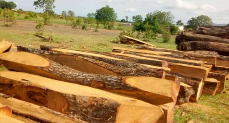 Rosewood Trade Booming In Spite Of  Ban –Research Scientist