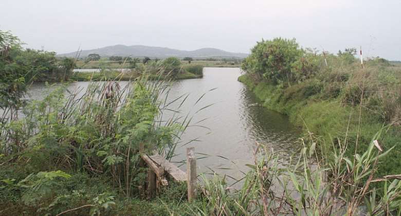 The Muni-Pomadze Ramsar site