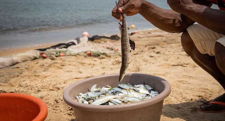 Coastal communities in West and Central Africa were severely affected by COVID which brought many aspects of food and seafood supply chains to a halt.  - Source: Shutterstock