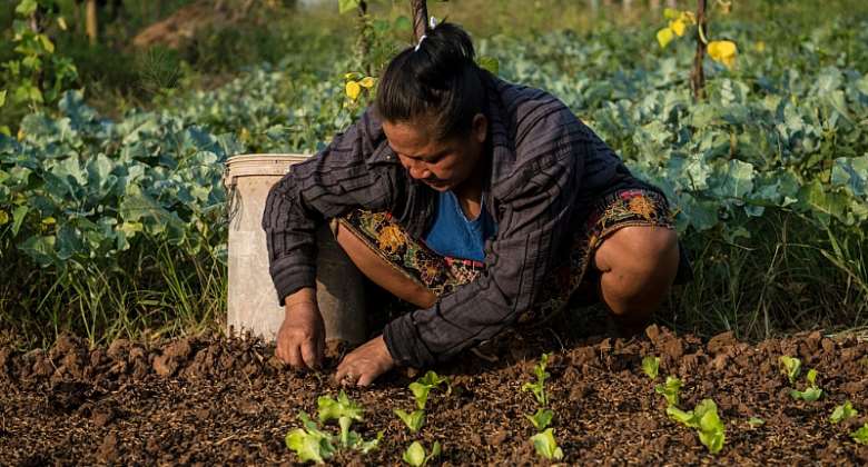 IFAD-funded project to help smallholder farmers make the transition to agroecology in Argentina