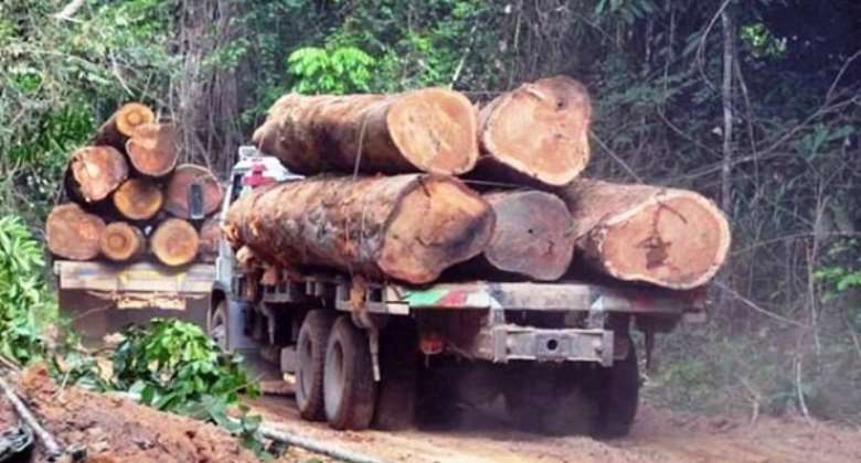 Govt dragged to court over issuance of special permit for commercial timber logging
