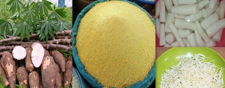 Gari, AbgeliKakro fights constipation, stimulates red blood cells, boosts immunity