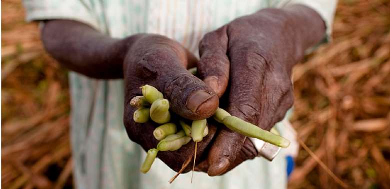 How Can Africa's Covid-19 Food Insecurity Challenge Be Tackled?