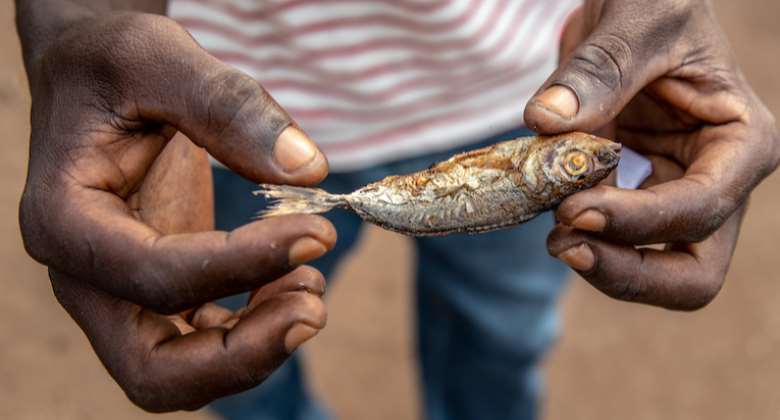 A fisheries worker holding up a small fish. Image by EJF.