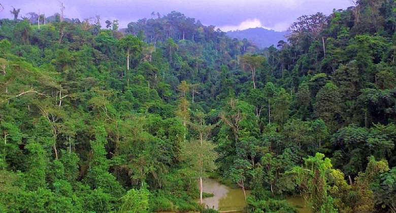 Why destroy Atewa Forest for 2bn when ecotourism can give Ghana 1.1 bn annually? – Environmentalist
