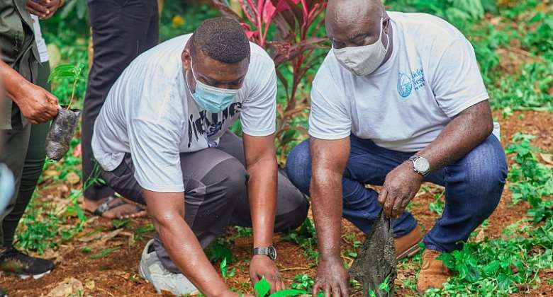 Ridge Nest Hotel initiates afforestation CSR project to promote eco-tourism in Ghana