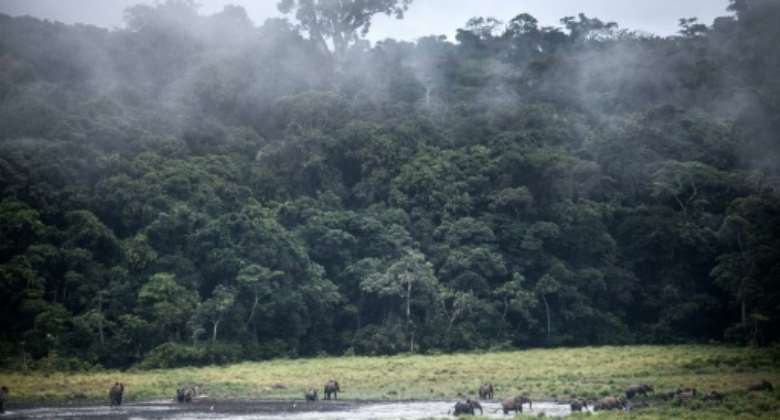 At the end of June, Gabon became the first country on the continent to receive international funds to continue its efforts against deforestation.  By Amaury HAUCHARD AFPFile