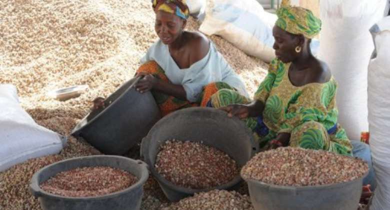 Women sort peanuts on February 23, 2013 in the central Senegalese village of Dinguiraye.  By Seyllou AFPFile
