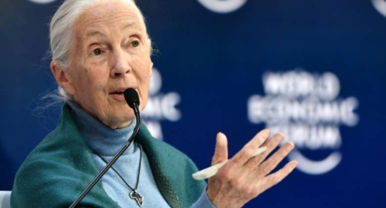 Earth's climate is changing so quickly that humanity is running out of chances to fix it, primatologist Jane Goodall -- pictured on January 22, 2020 -- has warned in an interview.  By Fabrice COFFRINI AFPFile
