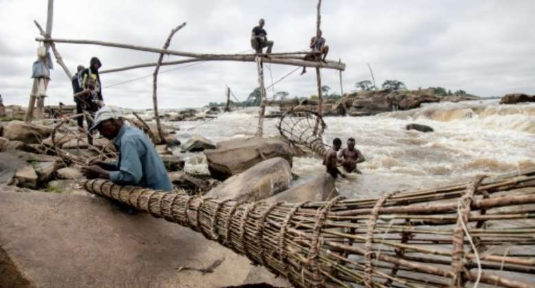 Fishermen perch on wooden scaffolds at the Wagenya Falls in ortheastern DR Congo.  By Guerchom Ndebo AFP