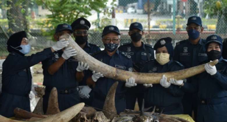 Malaysia has seized animal parts, including elephant tusks, rhino horns and pangolin scales, worth 18 million.  By Arif Kartono AFP