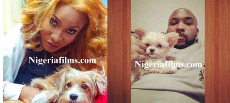 NIGERIAN CELEBS AND DOGS: WHO HAS THE CUTEST?