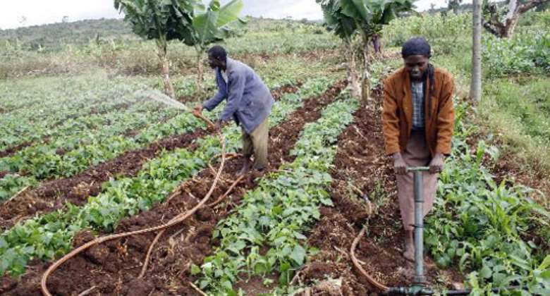 IFAD-Supported Operations In Nigeria Improve The Livelihoods Of Rural ...