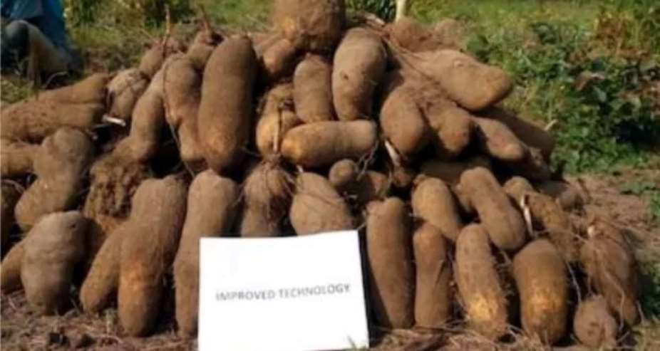 Yam Glut, Farmers Fury And One District One Factory
