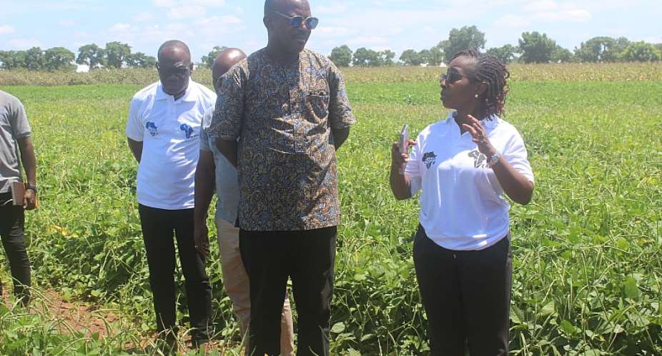 Farmers and scientists call for abridging approval processes for PBR Cowpea in Ghana
