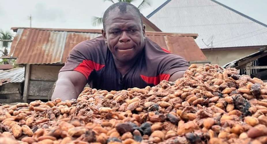 Government cannot fight galamsey with abysmal cocoa price – Twifo Nsuakyi Chief