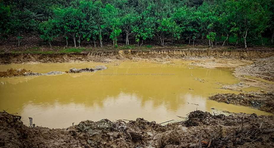 Amenfi Central: Farmers Weep As Galamsey Activities Continue To Destroy Cocoa Farms