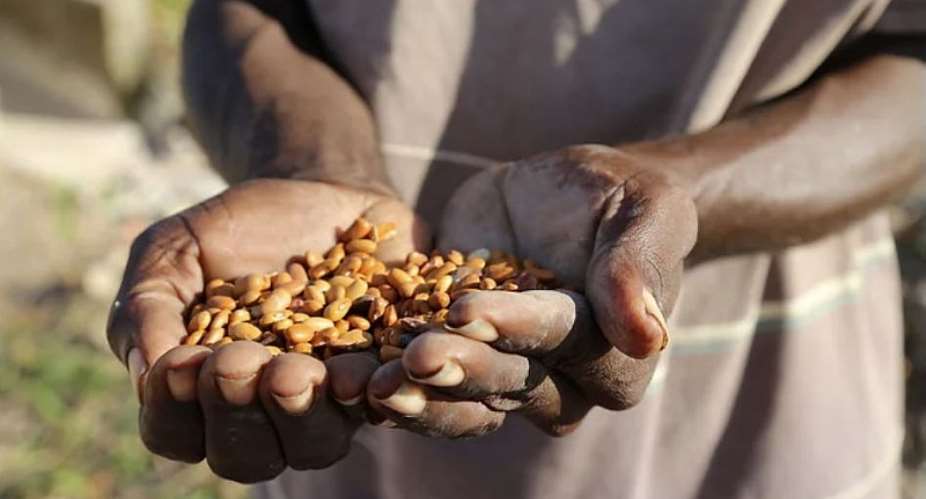 Farming in Haiti. World Bank, 2016.