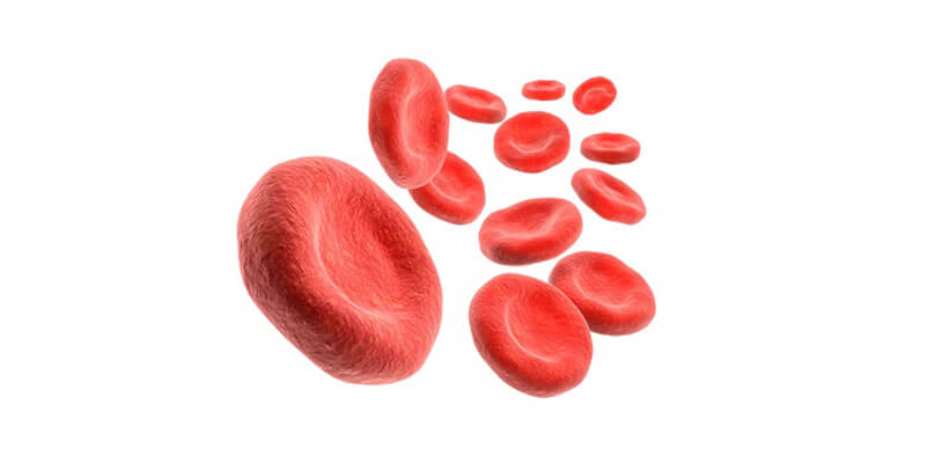 Anemia, Know about the Anemias