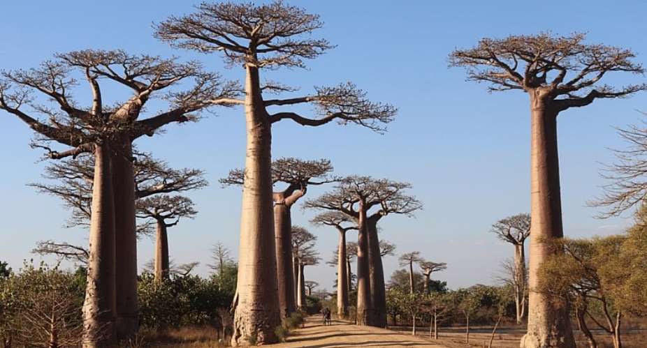  Seheno Andriantsaralaza