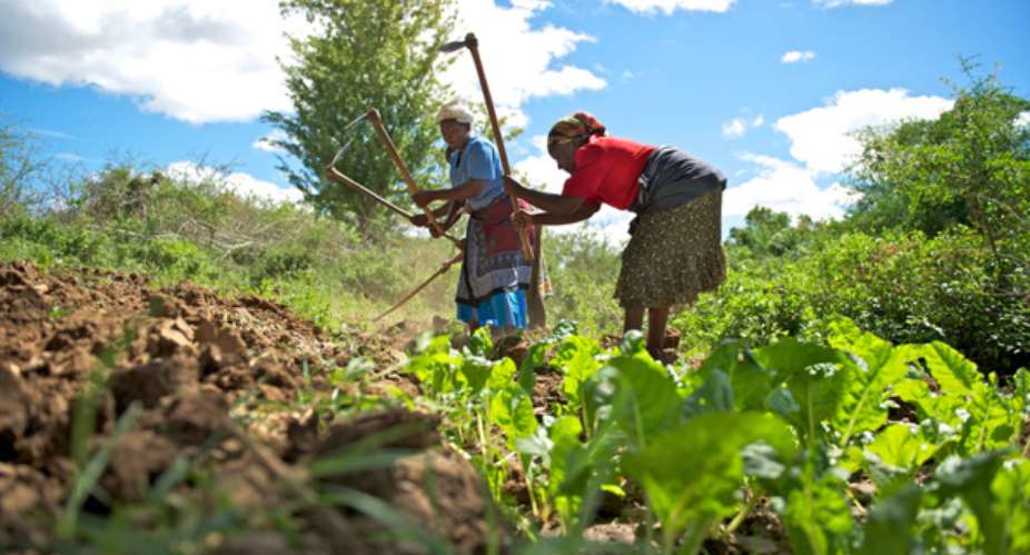 World Food Day: AfDB urges African leaders to make agriculture attractive to young Africans and stem migration