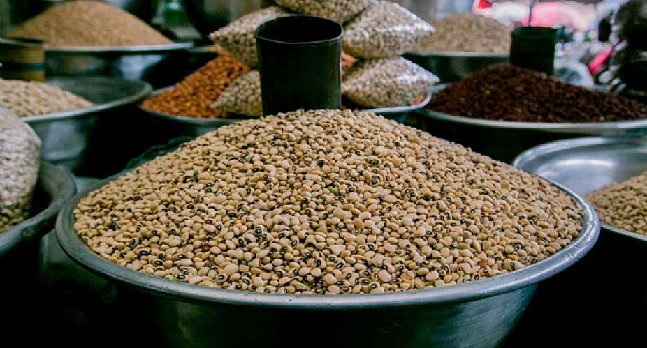 Re: The New Colonialist Food Economy – The Context Some Africa Seed Sovereignty Campaigners Ignore