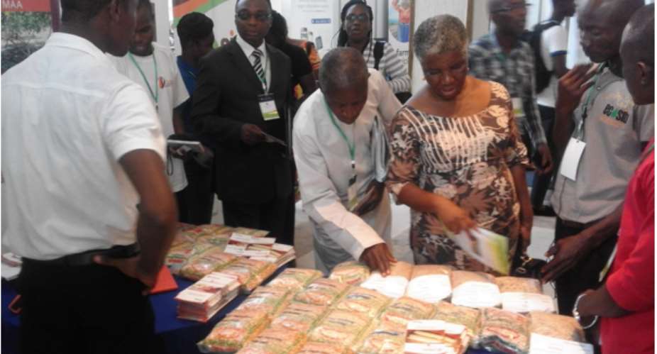 ECoSIB Incubatees exhibiting the Seeds at the AAIN conference in Accra