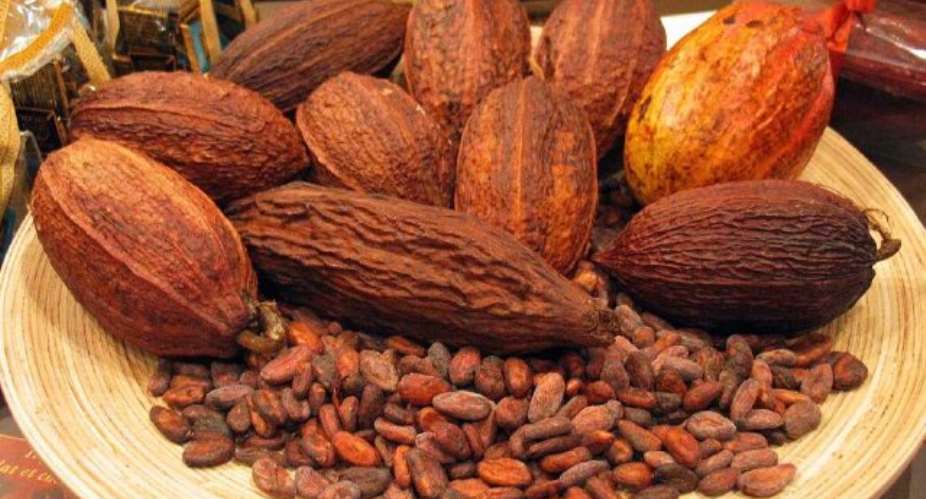 Cadbury Boss Endorsed Ghana Cocoa Best For Chocolate Production