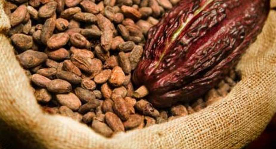 Economist Predicts Unchanged Cocoa Price Likely To Throw Revenue Off Target
