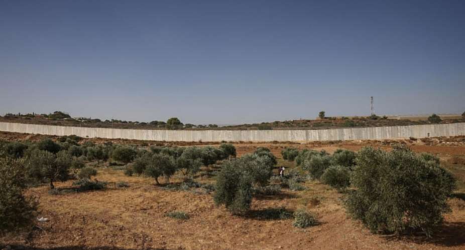 A file image of a Palestinian man in an olive tree field during the harvest season, near the controversial Israeli separation wall, in the village of Beit Awwa, west of Hebron City in the Israeli-occupied West Bank on October 15, 2026. -  Hazem Bader, AFP