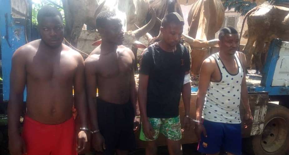 Assin Darmang: Six cattle thieves arrested