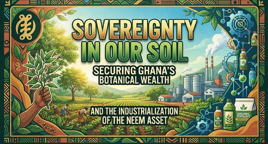 Sovereignty in Our Soil: Securing Ghanas Botanical Wealth and the Industrialization of the Neem Asset