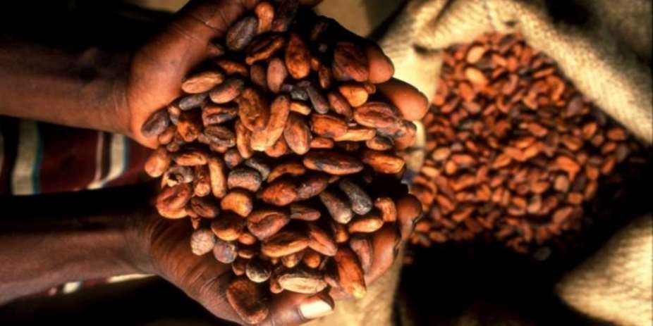 Why the future of Ghana's cocoa sector is organic - bedrocked by agroforestry principles