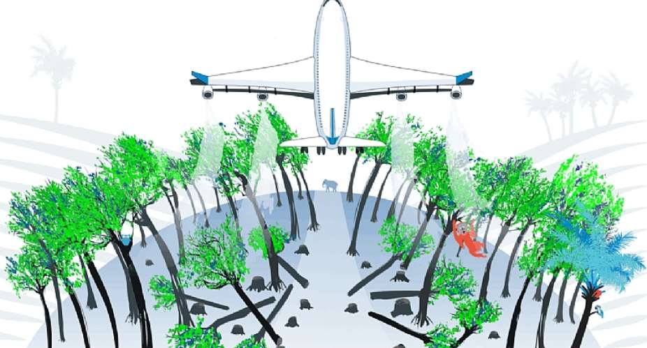 Aviation climate targets may drive 3 million hectares of deforestation