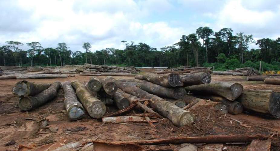 Sing Africa Plantations Liberia Incorporated has failed to meet its obligations with Bluyeama despite logging in the community. The DayLightJames Harding Giahyue