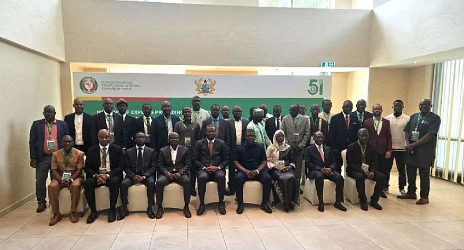 ECOWAS experts review new rules to strengthen West African electricity market