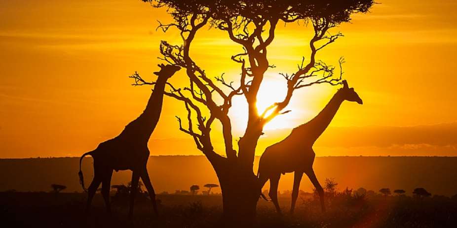 4 Beautiful Things About Kenya