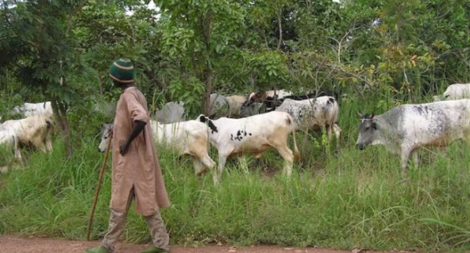 Berekum Sets To Deal With Fulani Herdsmen
