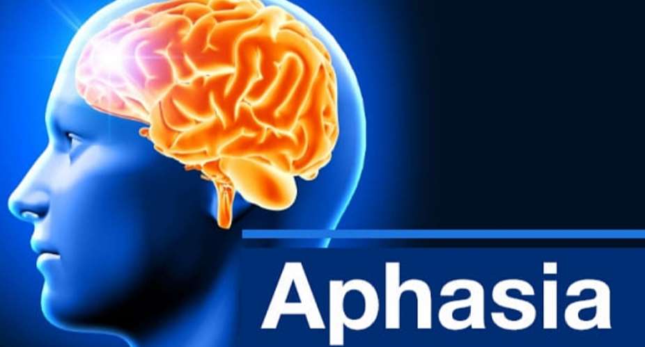 Aphasia and Dysgraphia: The Systemics of Language and Learning Disability