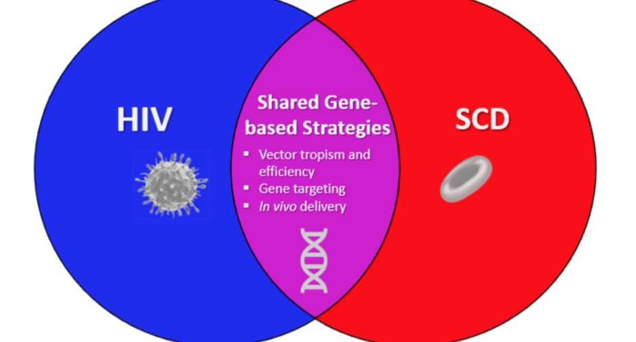 NIH Seeks To Develop Gene-Based Cures For Sickle Cell Disease And HIV On Global Scale