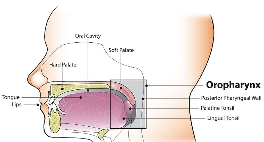 HPV and Oral Cancer: Why Vaccination Matters
