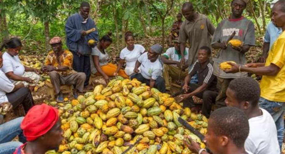 Windfall At 202021 Cocoa Sale: Ghana Bags Extra 40m