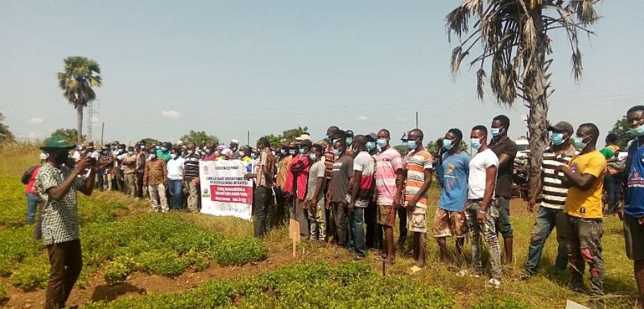UER: Field day demonstration on improve Frafra Potato Varieties held at Kongo