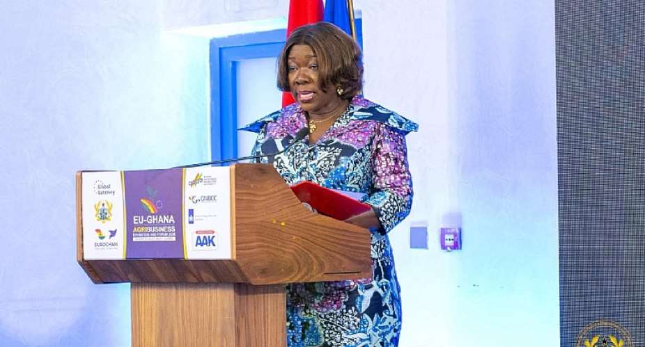 Ghana movingbeyond raw commodity exports to local processing – Trade Minister