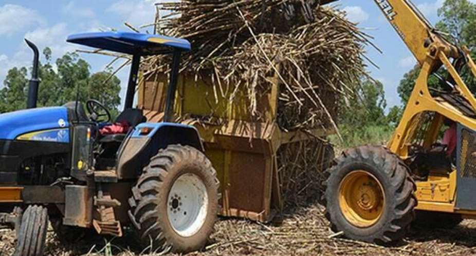 Sugarcane Growers Need Protection From The Govt!