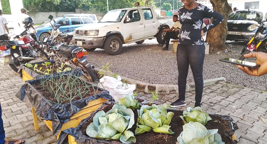 Ho Agric Department urges home gardening and fruit dryers to tackle post-harvest losses