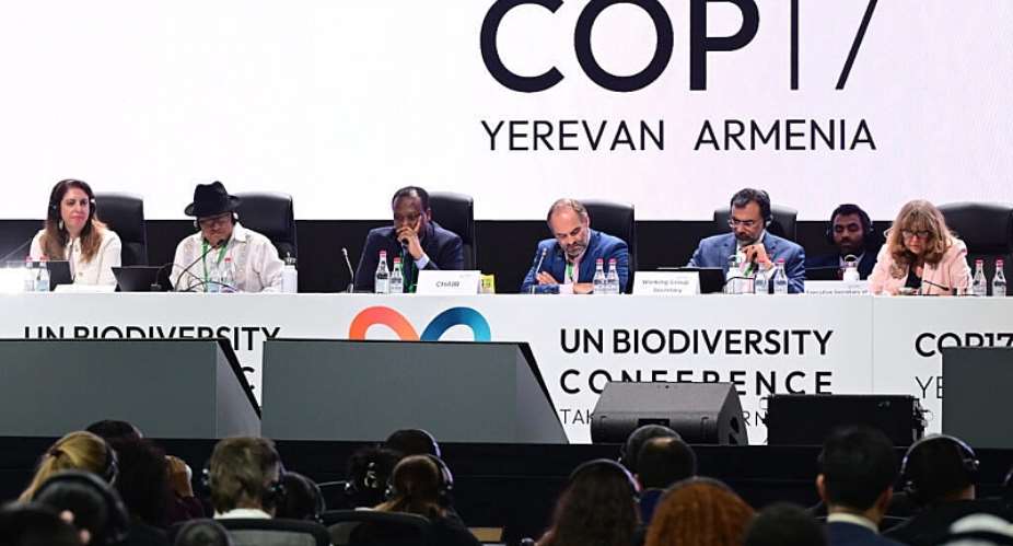 Delegates cheered as the crucial texts were approved in overtime -  Karen MINASYAN / AFP