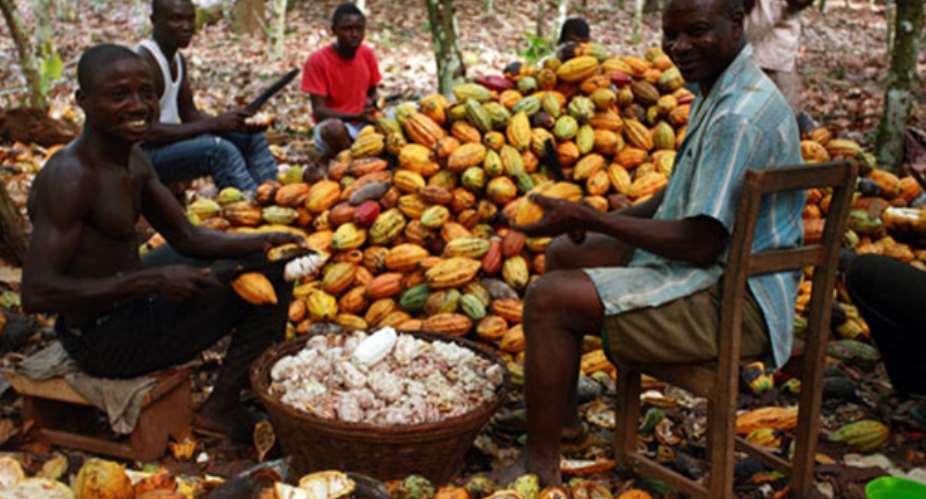 Ghana Working To Regain Cocoa Position