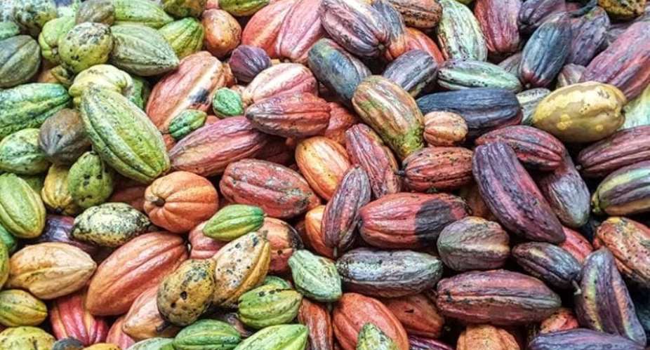 New cocoa price to be announced early next week